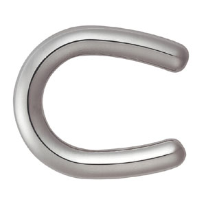 Keyfob/Pendant Horseshoe - plus