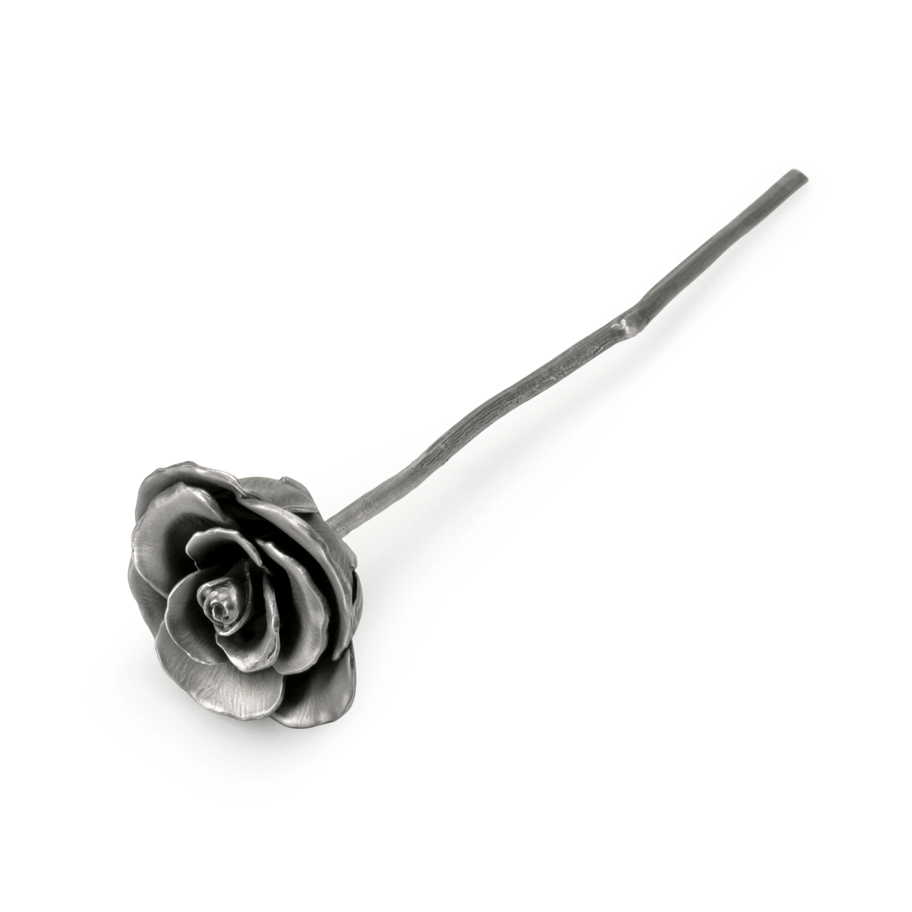 Rosa Blossom - view 2