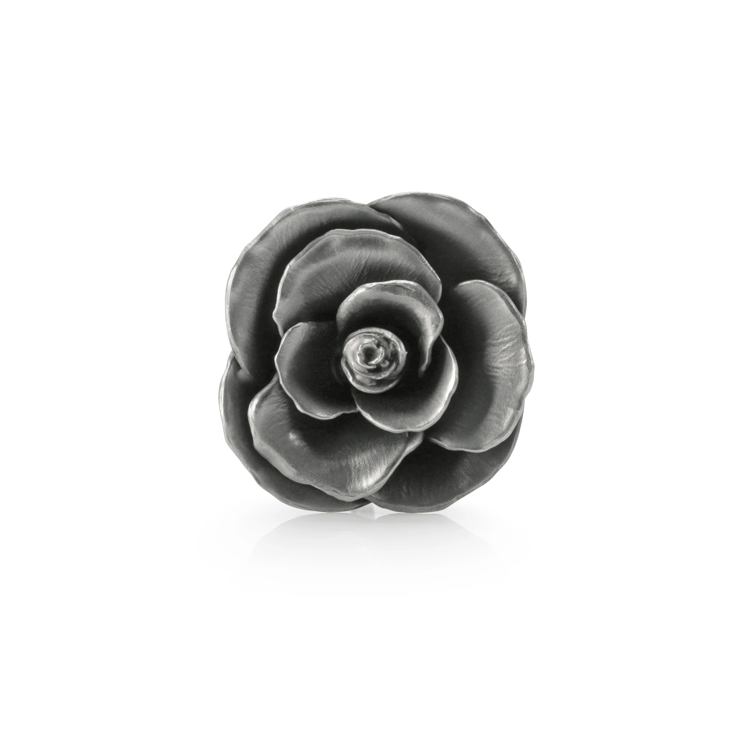 Rosa Blossom - view 4