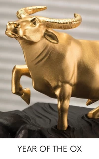Year of the Ox