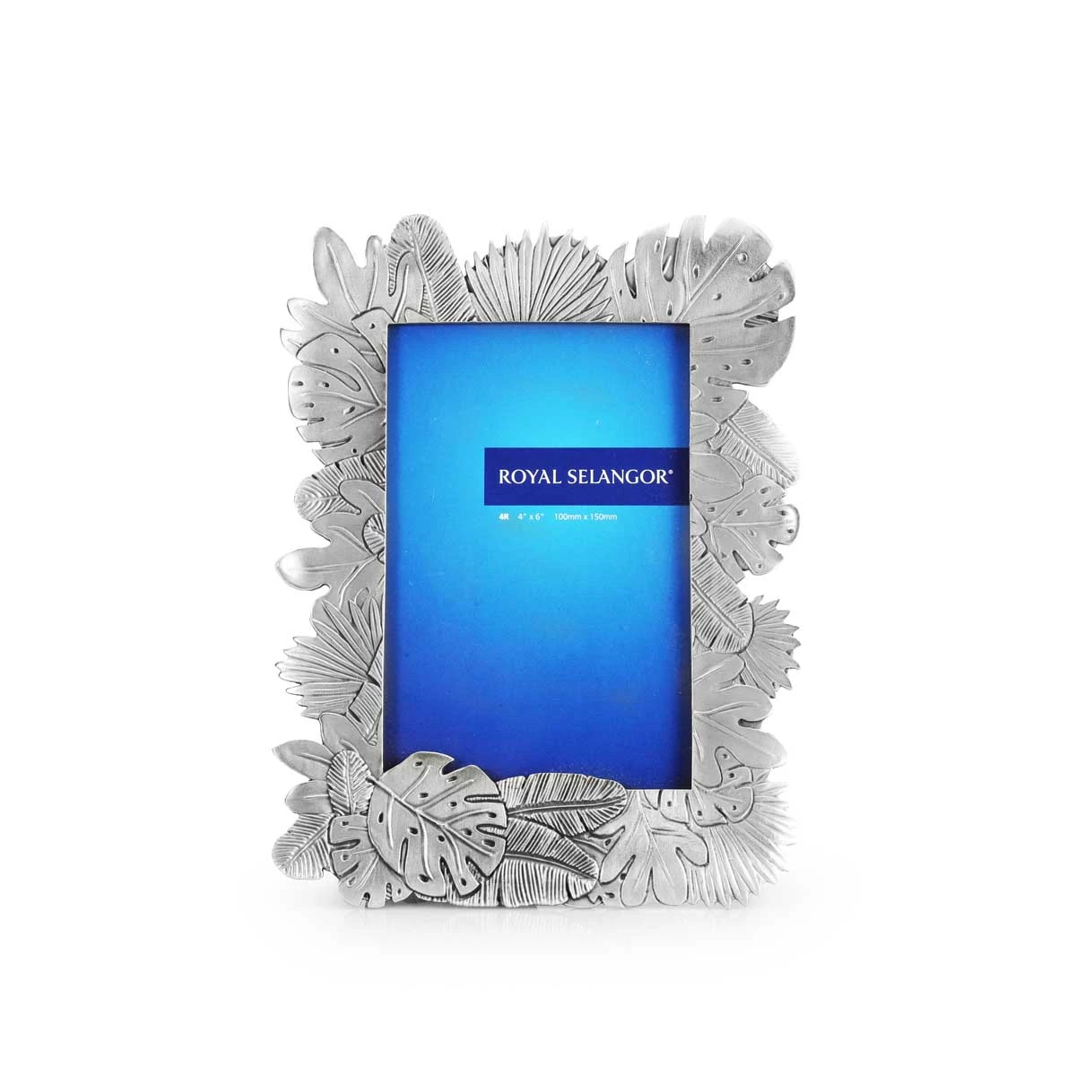Earth Photo Frame 4R - main view